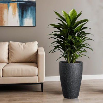 TrustBasket Bloom Nest Pot 18 Inch Big Size Flower Pot for Living Room & Garden | Planters for Home Décor | Decorative Pots for Balcony & Indoor Plants | German Polymer Pot with Drain Hole