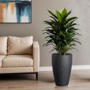 TrustBasket Bloom Nest Pot 18 Inch Big Size Flower Pot for Living Room & Garden | Planters for Home Décor | Decorative Pots for Balcony & Indoor Plants | German Polymer Pot with Drain Hole...
