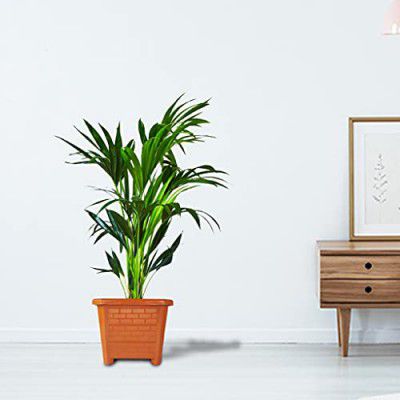 TrustBasket EarthBox-10 Square Plastic Planter Brown (Set of 3)