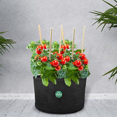 TrustBasket Eaton Round Textile Felt Fabric Grow Bags for Vegetable Balcony & Terrace Gardening | Breathable, Washable & Reusable Grow Bags (Pack of 2)