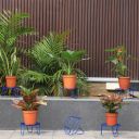 TrustBasket Eclips Plant Stands Blue (Set of 6) ...