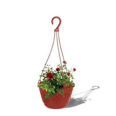 TrustBasket Fern Hanging Basket (Brown Set of 3)