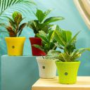 TrustBasket Helix Pot 7-inch Table Top Planter Pot (Pack of 4) ...