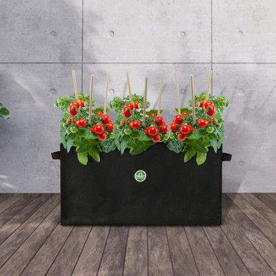 TrustBasket Heya Rectangular Textile Felt Fabric Grow Bags for Vegetables Balcony & Terrace Gardening | (Pack of 2)