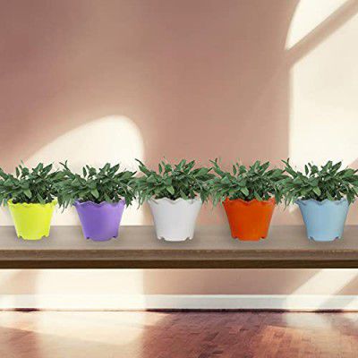 TrustBasket Jasmine Flower Pot (Set of 5)