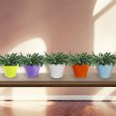 TrustBasket Jasmine Flower Pot (Set of 5)...