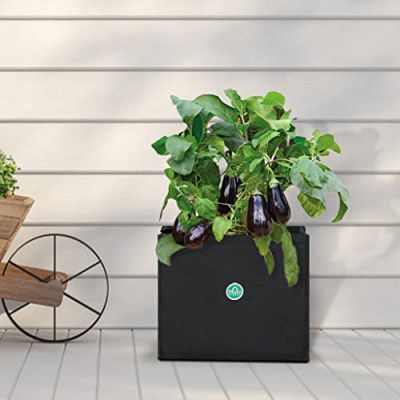 TrustBasket Square Round Textile Felt Fabric Grow Bags for Vegetable Balcony & Terrace Gardening | Breathable, Washable & Reusable Grow Bags (Pack of 2)
