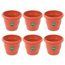 TrustBasket UV Treated Plastic Round Pot(6 Inches)-Set of 6 | Heavy Duty Highly Durable Plant Container Gamla for Indoor Home Decor & Outdoor Balcony Garden...
