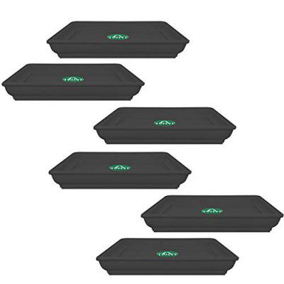 TrustBasket UV Treated Square Bottom Tray(Plate/Saucer) Suitable for 6 inch Square Plastic Pot - Black Color - Set of 6
