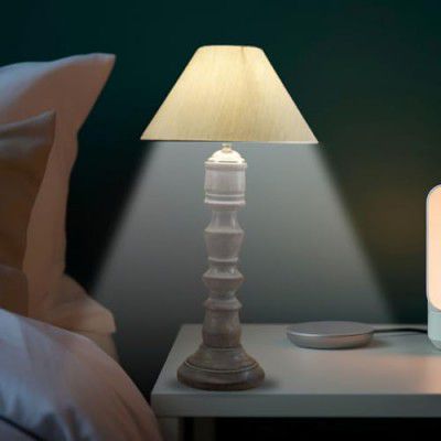 tu casa Classic European Style Inspired Mangowood Rustic Aqua Green able Lamp (Off-White)