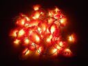 Tu Casa DW-218-11 Kupi Flower String Light (Purple/Offwhite)...