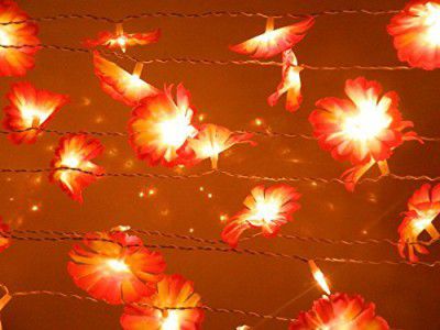 tu casa DW-226-11 Dalia Flower String Light (Rd/Orange)