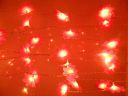 tu casa DW-236-11 Plumeria Flower String Light (Dark Red)...