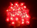 Tu Casa DW-252-11 Kupi Flower String Light (Dark Red)...