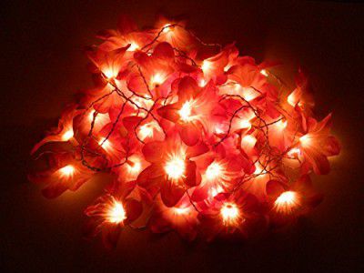 tu casa DW-256-11 Plumeria Flower String Light (Purple/Pink)