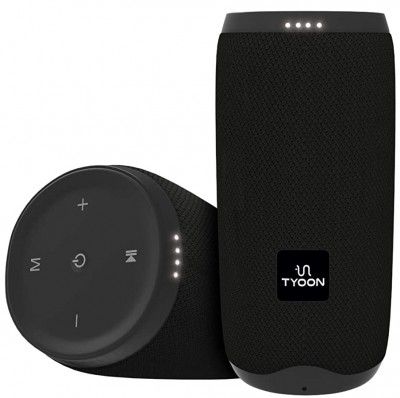 TYOON S22 16 Watt Wireless Bluetooth Portable Speaker (Black)