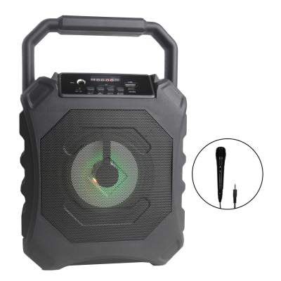 TYOON SP211 10W Karaoke On The Move Speaker with Wired Mic, Black