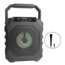 TYOON SP211 10W Karaoke On The Move Speaker with Wired Mic, Black...