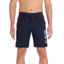 U.S. POLO ASSN. Mens Regular Shorts...
