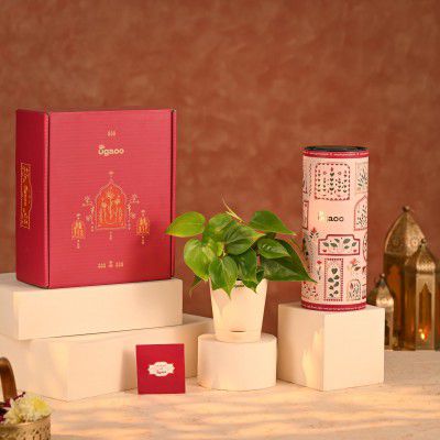 UGAOO Diwali Hamper 5