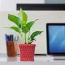 UGAOO Honeycomb Ceramic Pot (Red)...