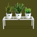 Urban Plant Apollo Metal Plant/Pot Stand for Garden | Planter Stand for Indoor & Outdoor | Flower Pot Stand for Balcony | Living Room Decor (White Pack of 1)…...