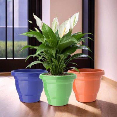 Urbane Home (Pack of 3) Flower Pot | 2-Layer Fuldani Flower Pot | (6 Inch) Pots 