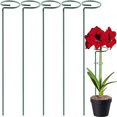 URBANMAALI 16 inches Metal Plant Stakes, Pack of 5