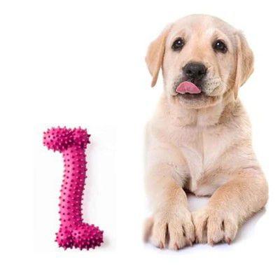 URBANPET Chew toys for dogs | 4 Inches Long dog chew toys,Dog Toy for Medium & Large Breeds| Durable & Non Toxic Interactive Dog Toy