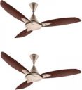 USHA Bloom Primrose, Sparkle Golden, Brown 1250 mm 3 Blade Ceiling Fan ...