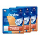 Vaseline Lip Care Aloe Vera Lip Balm Stick 4.8g (Pack of 3)...