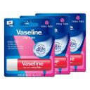 Vaseline Lip Care Rosy Lips Tinted Lip Balm Stick 4.8g (Pack of 3)...