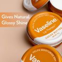 Vaseline Lip Tins Cocoa Butter, 17g | Infused with Cocoa Butter for Hydration & Glossy Shine Softline (Transparent)...
