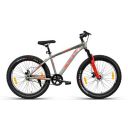 Vector 91 Skullrider 26T Single Speed Hybrid Bike ...