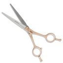 VEGA PROFESSIONAL Goldwings 6" Gold Line Hairdressing Scissor, (VPPSC-02)...