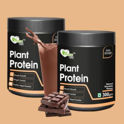 Vegan Bit 100% Plant Based Protein Powder Blend, Natural Chocolate Flavour, Added Digestive Enzymes & Antioxidants- (300gm, 2)
