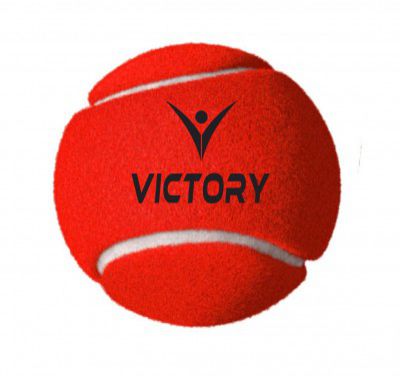 Victory Cricket Tennis Balls High Bounce Street Match Cricket Tournament Tennis Ball 