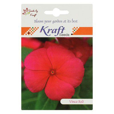 Vinca Pacifica Flower Seeds (Pack of 2 Red/Cherry Red) by Kraft Seeds