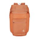 VIP Jump 02 27 Litres Polyester Backpack (BPJUM2ZOG)...