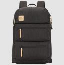 VIP Ride 01 19 Litres Polyester Casual Backpack (3 Front Pockets, BPRID01GRY, Grey)...
