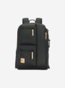 VIP Trot 02 19 Litres Polyester Casual Backpack...