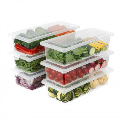 VOLTURI Fridge Storage Containers (Pack of 4)
