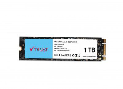 VTRUST 1TB M.2 2280 Solid State Drive