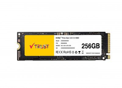 VTRUST 256GB PCIe NVMe SSD (VT2280-NV-256G)