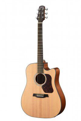 Walden, Acoustic Guitar, Dreadnought w/Cutaway and Bag -Satin Natural D550CE/W