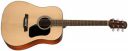 Walden, Acoustic Guitar, Dreadnought w/Cutaway and Bag -Natural D450CE/W...