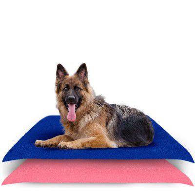 Waterproof Reusable Washable Pee Pads & Hygenic Pet Dry Sheet | Size- 140 x 100 