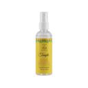 Welburn Veda&Co™ Temple Fragrance Room Freshener for Puja -100ml...