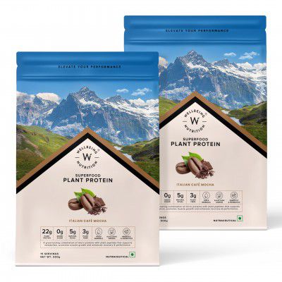 Wellbeing Nutrition Organic Vegan Plant Protein Isolate Powder | pack of 2 1000gm