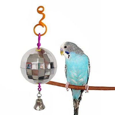 Western Era Disco Ball Toy is Fun, Interactive, Shiny, Provide a Sense